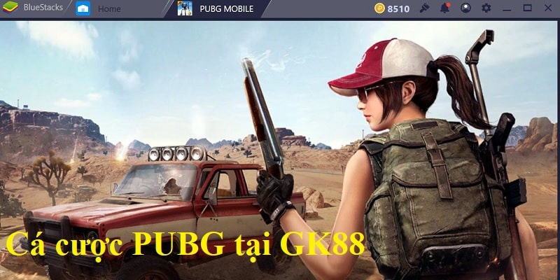 Hoạt động cá cược PUBG các trận đấu tại nhà cái GK88