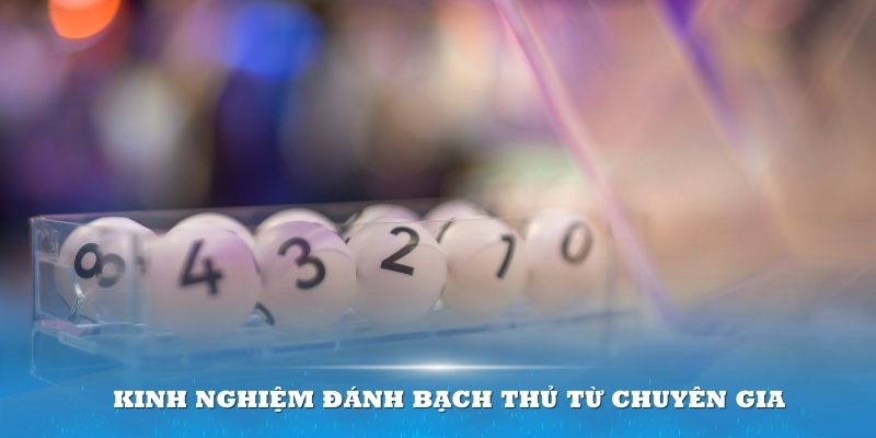 Kinh nghiệm đánh bạch thủ từ chuyên gia