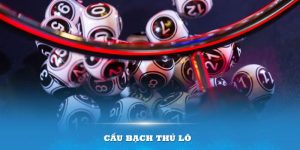 ảnh đại diện bạch thủ lô